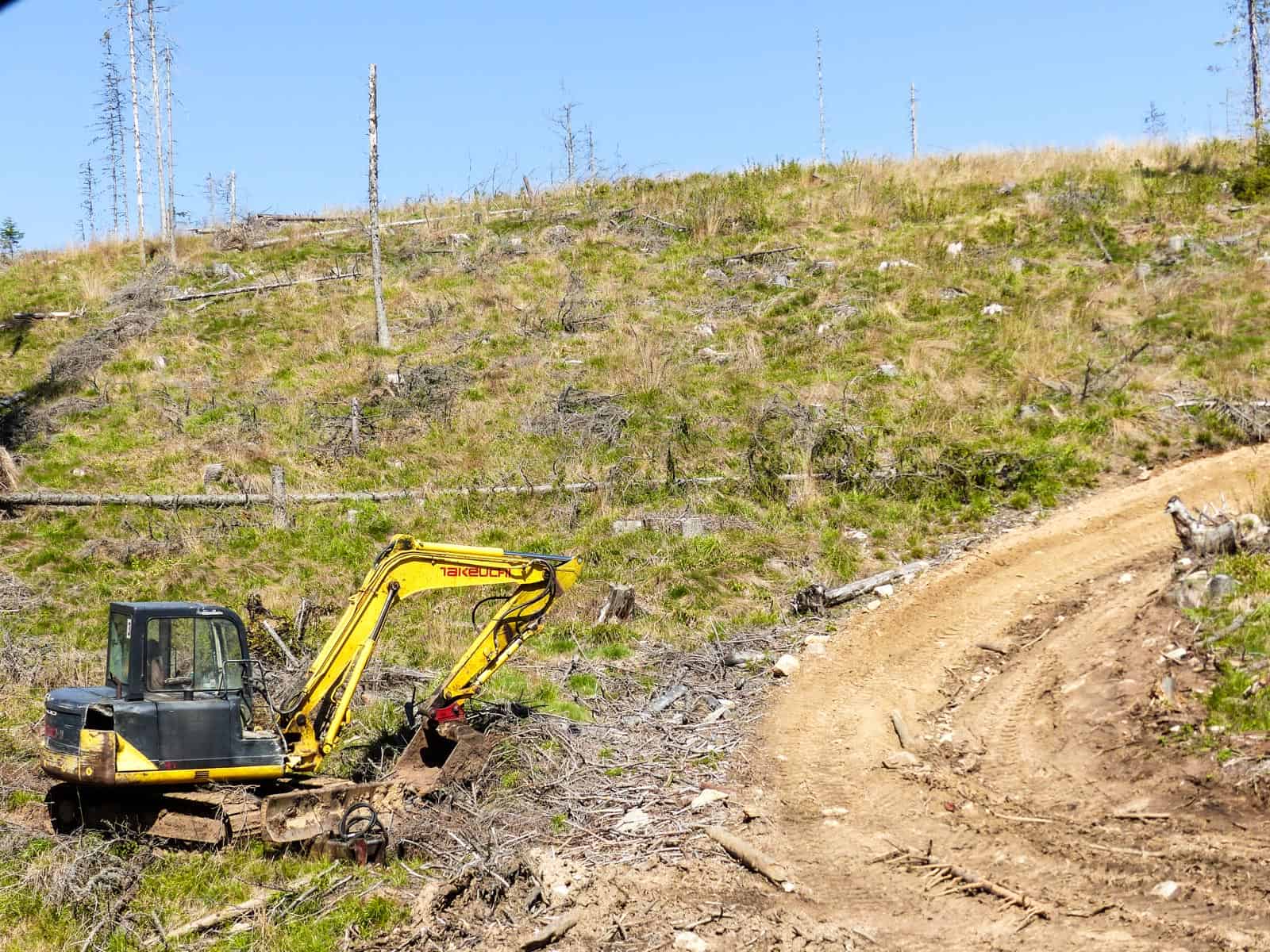Deforestation Romania Hannes Knapp - © All rights reserved
