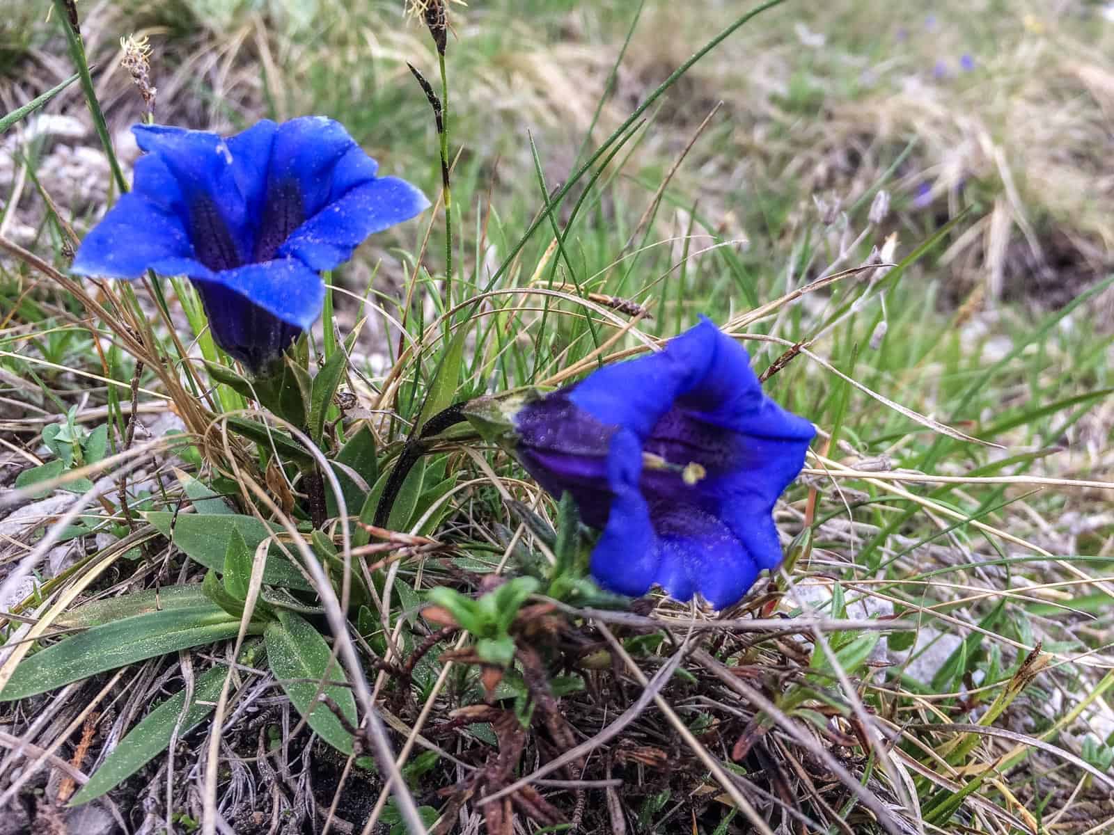 Dutch Film team in the Tatras, Slovakia 0171.jpg - © European Wilderness Society CC BY-NC-ND 4.0