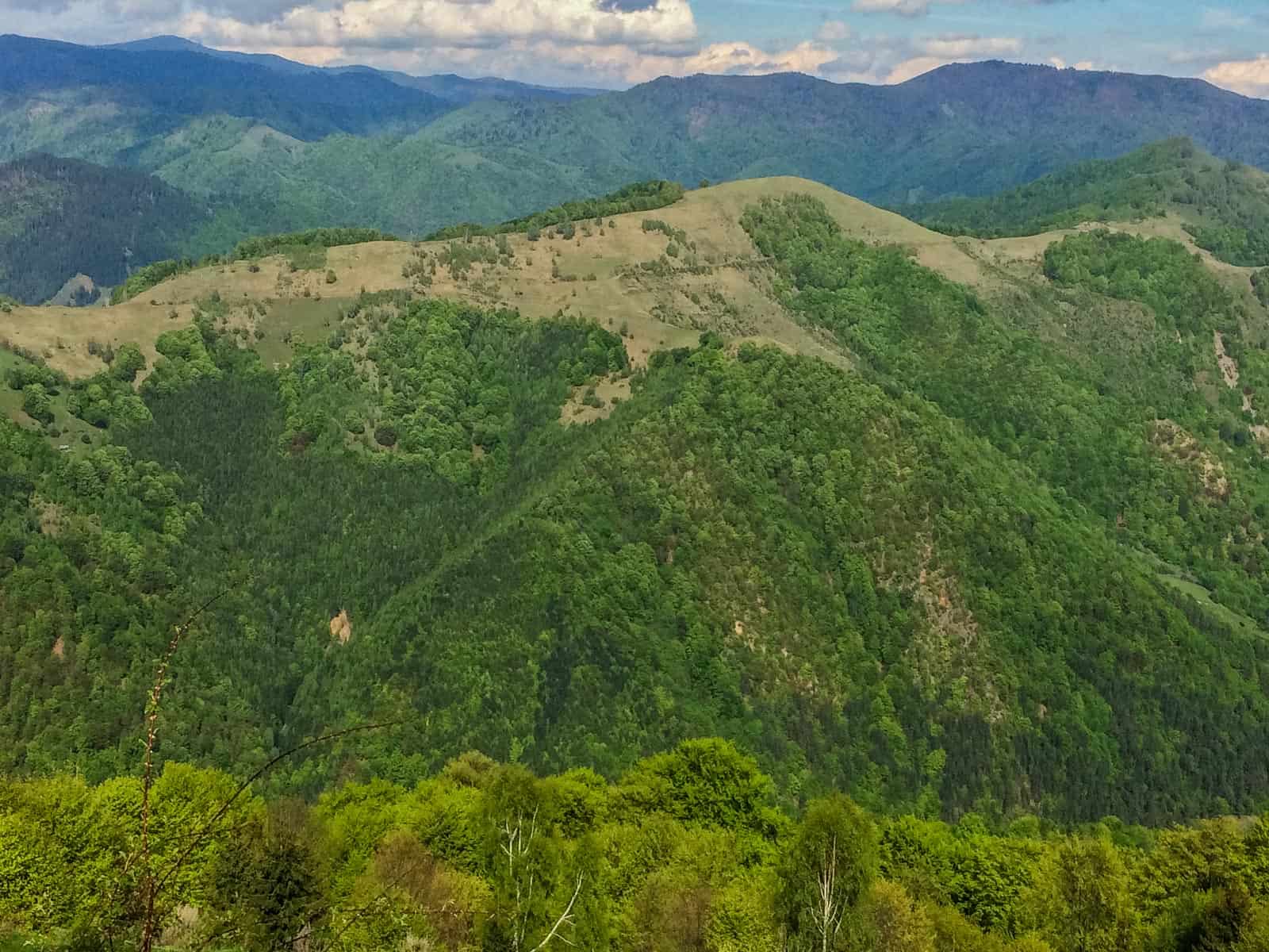 Plaul Vanata Wilderness Romania 0016.jpg