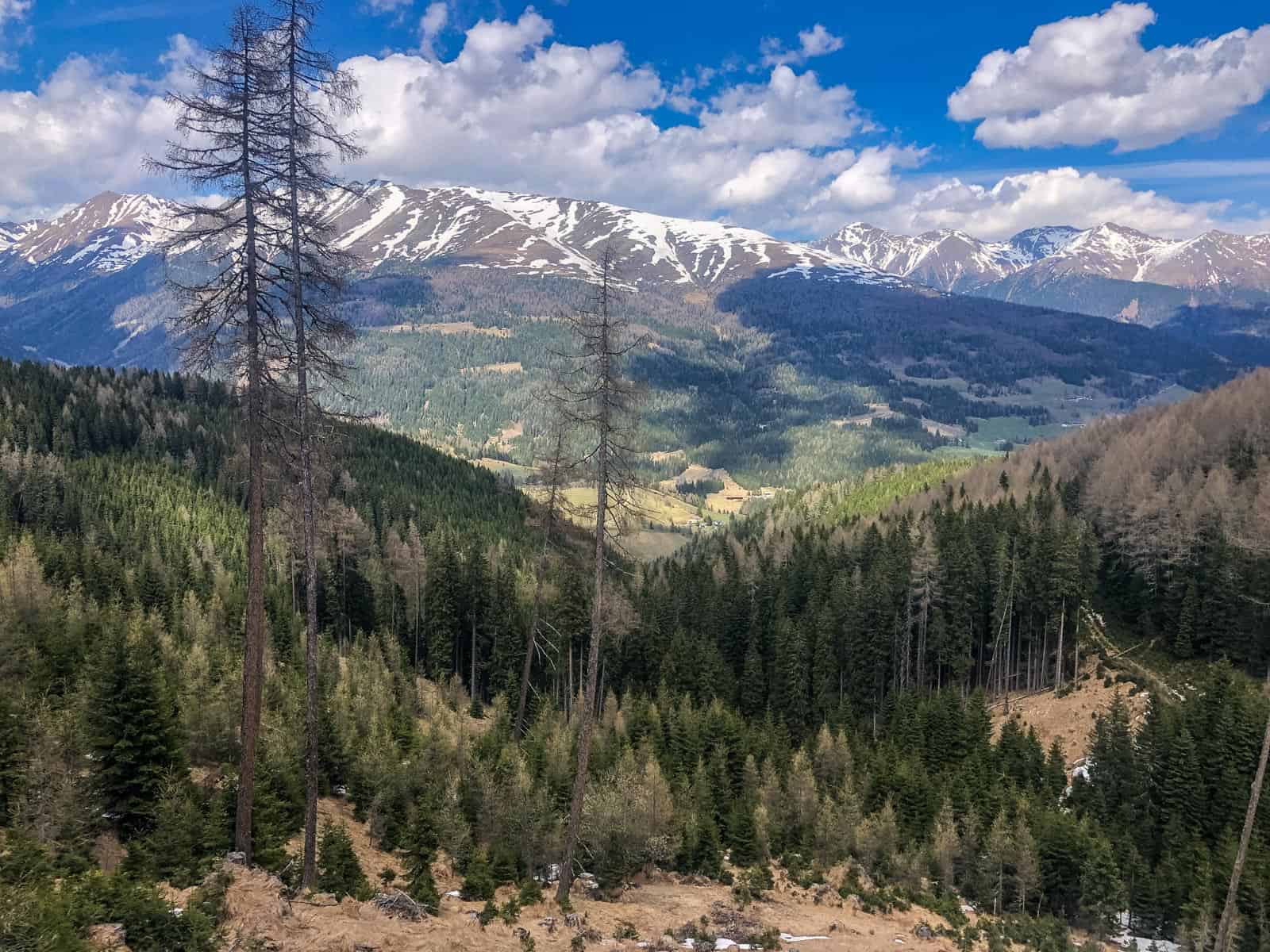 EWS Lockdown-31242.jpg