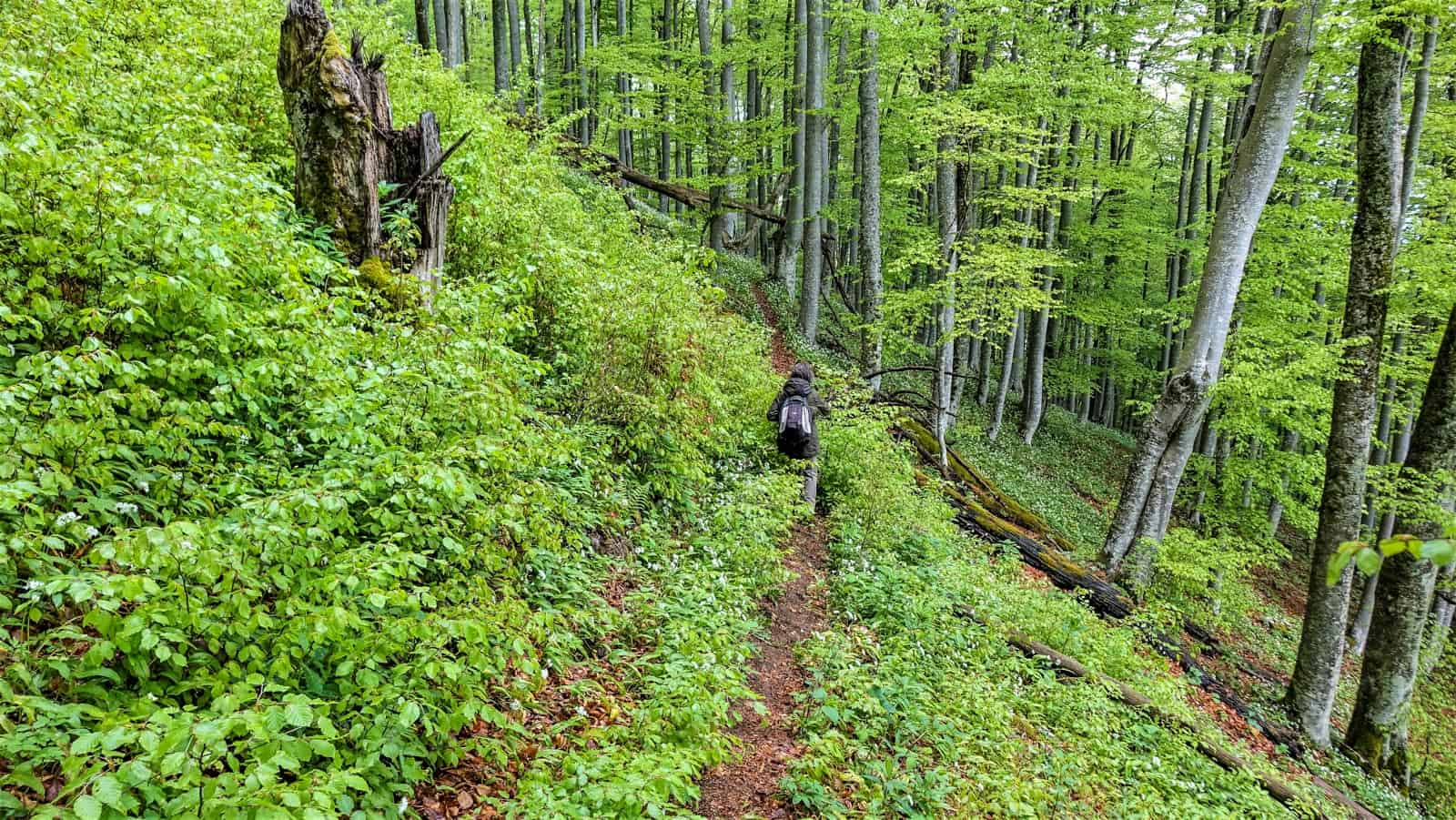 Interreg BEECH POWER Korkar Field Visit-31313.jpg