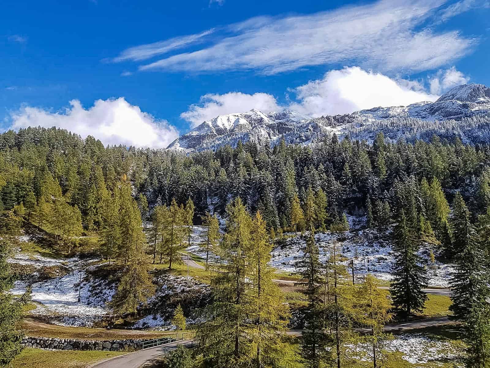 Rebecca Wild Diary-21723.jpg