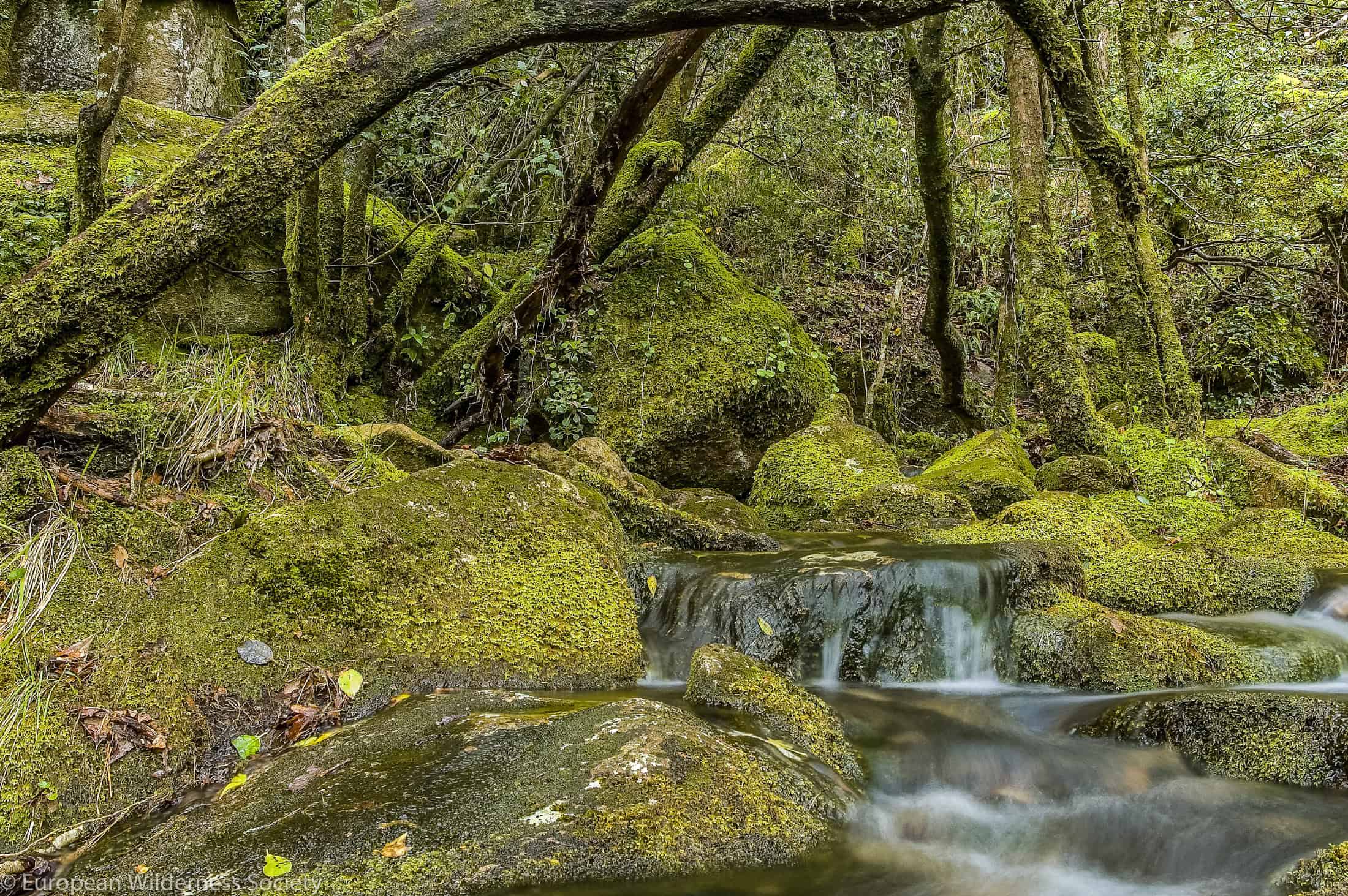 Peneda Geres National Park-2424.jpg Wilderness, Water, Trees, rocks, Wilderness as a Mirror of Ideas