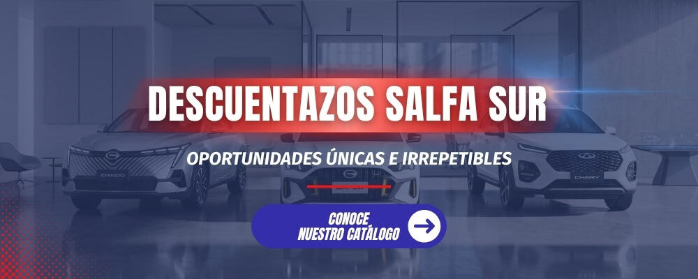 Catálogo Salfa Sur