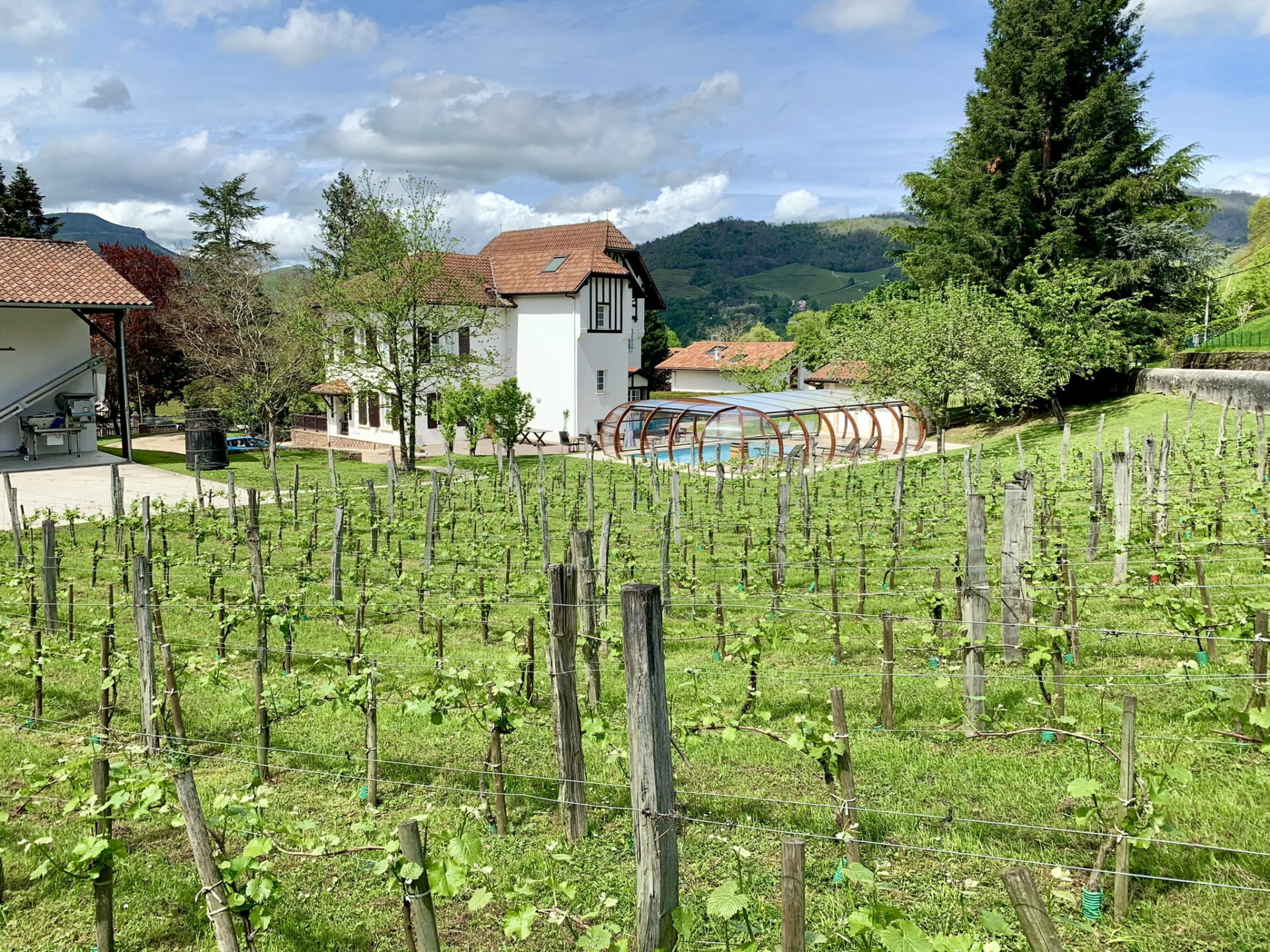 La Villa Harriet au milieu des Vignes et sa Piscine
