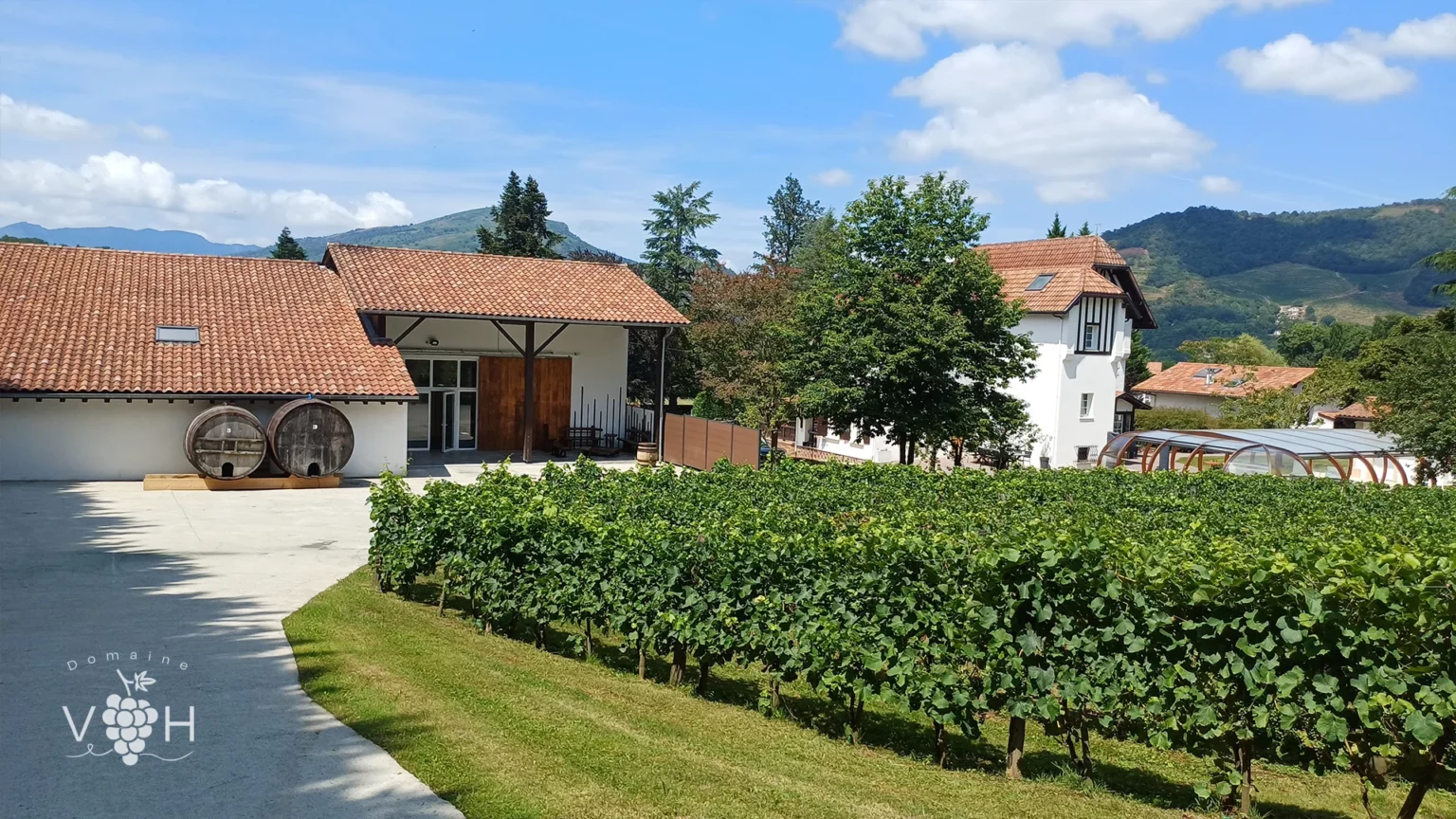 Terrasse Sud-est • Domaine Villa Harriet ©