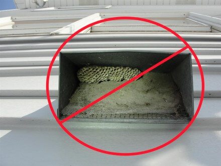 Fall maintenance - dirty air intake