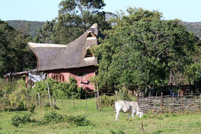 Thatched eco-house in a rural village with grazing horse and trees.