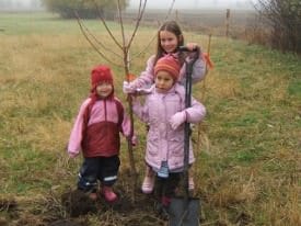 Three children walking with a sapling in a rural field.