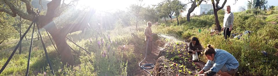People in a sunlit eco village garden tending soil and plants.