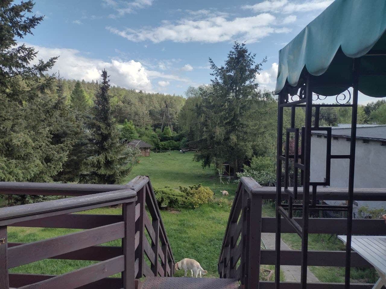 Pastoral garden with trees, lawn, and a dog on steps toward a green lawn.