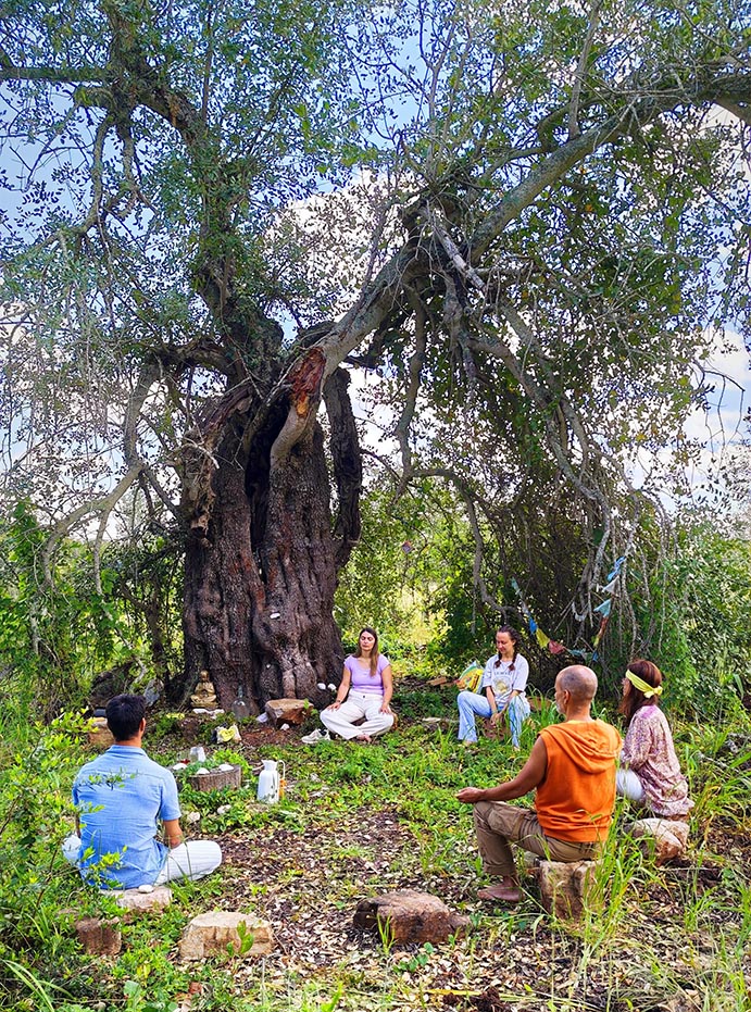 Group of people meditating in a circle under a large ancient tree in nature.