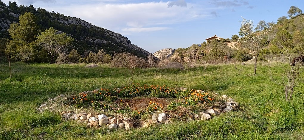 Circular flower bed in a grassy field with hills and a house in the distance.