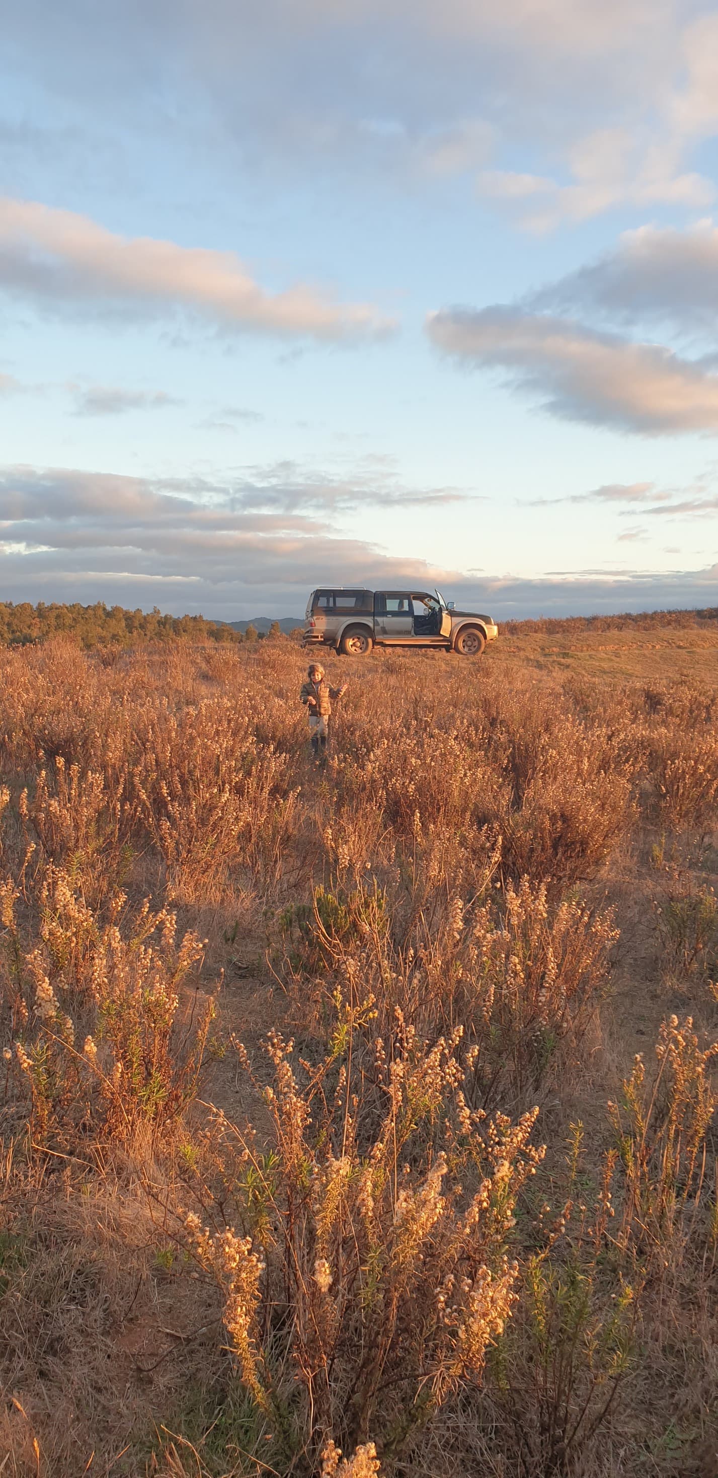 Open moorland at dusk with a vehicle in the distance and a person in the foreground.