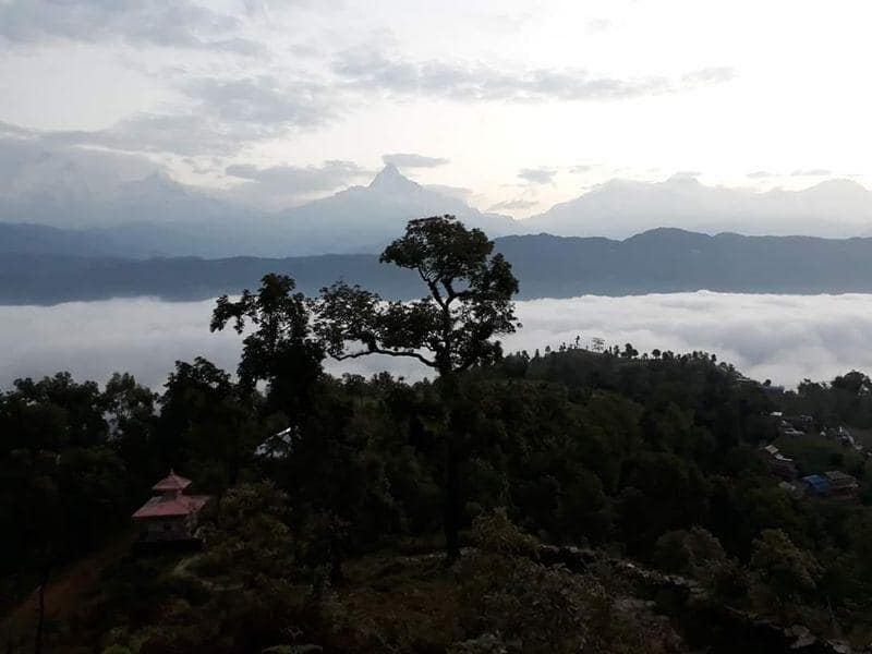 Dawn over a tree-covered hillside with distant mountains and low-lying clouds.