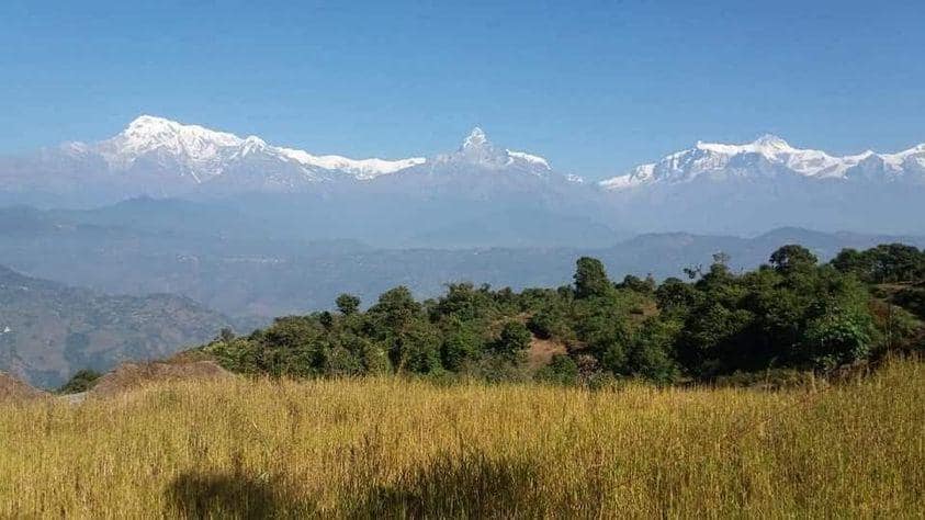 Snowy Himalayan mountains over green hills and golden grasses.