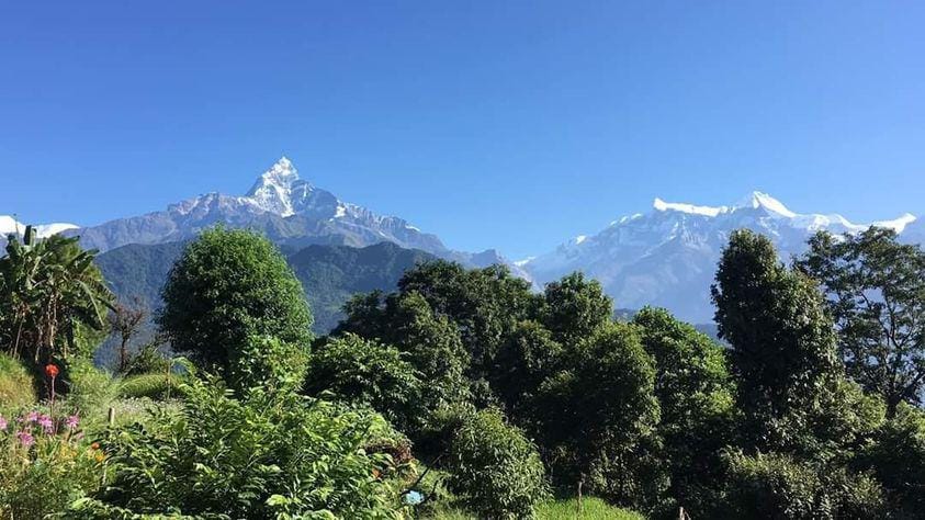 Panoramic view of snow-capped peaks with green trees and clear blue sky.
