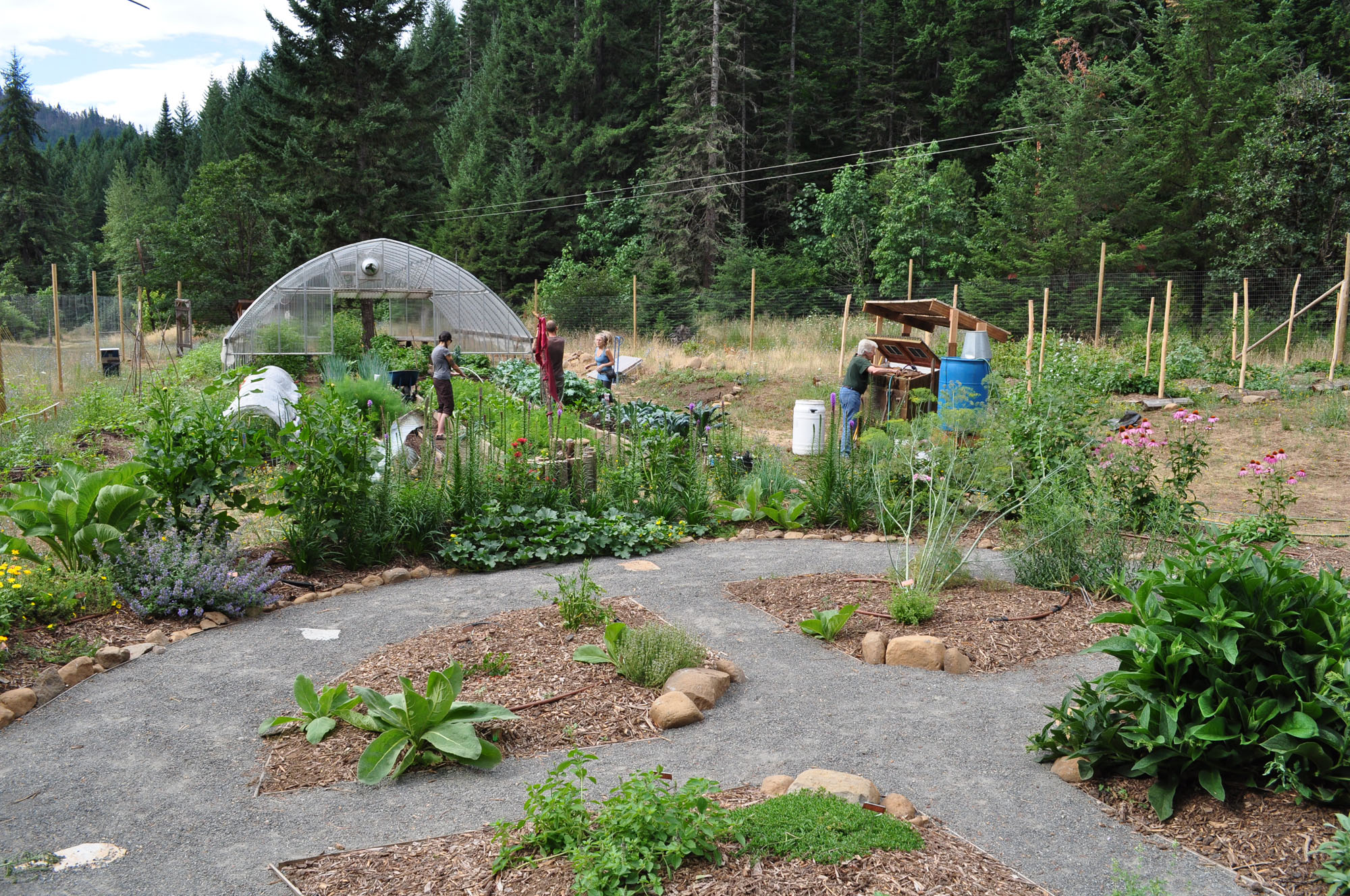 Garden beds and greenhouse at an ecovillage with people tending plants.
