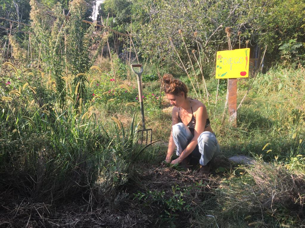 Person kneeling in garden with gardening tools and a yellow sign in background.