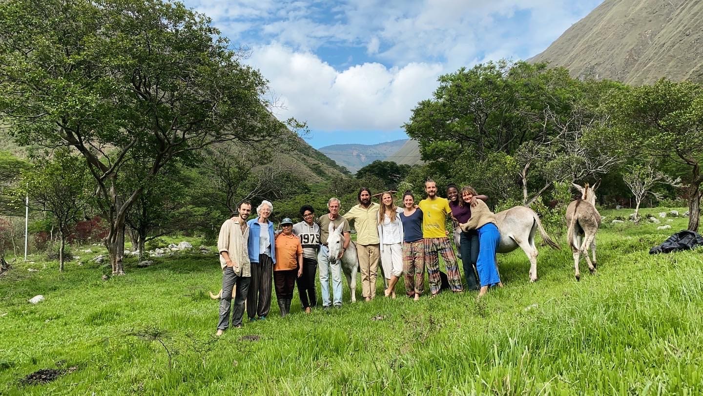 Group of people at Finca Sagrada Community with llamas in a valley.