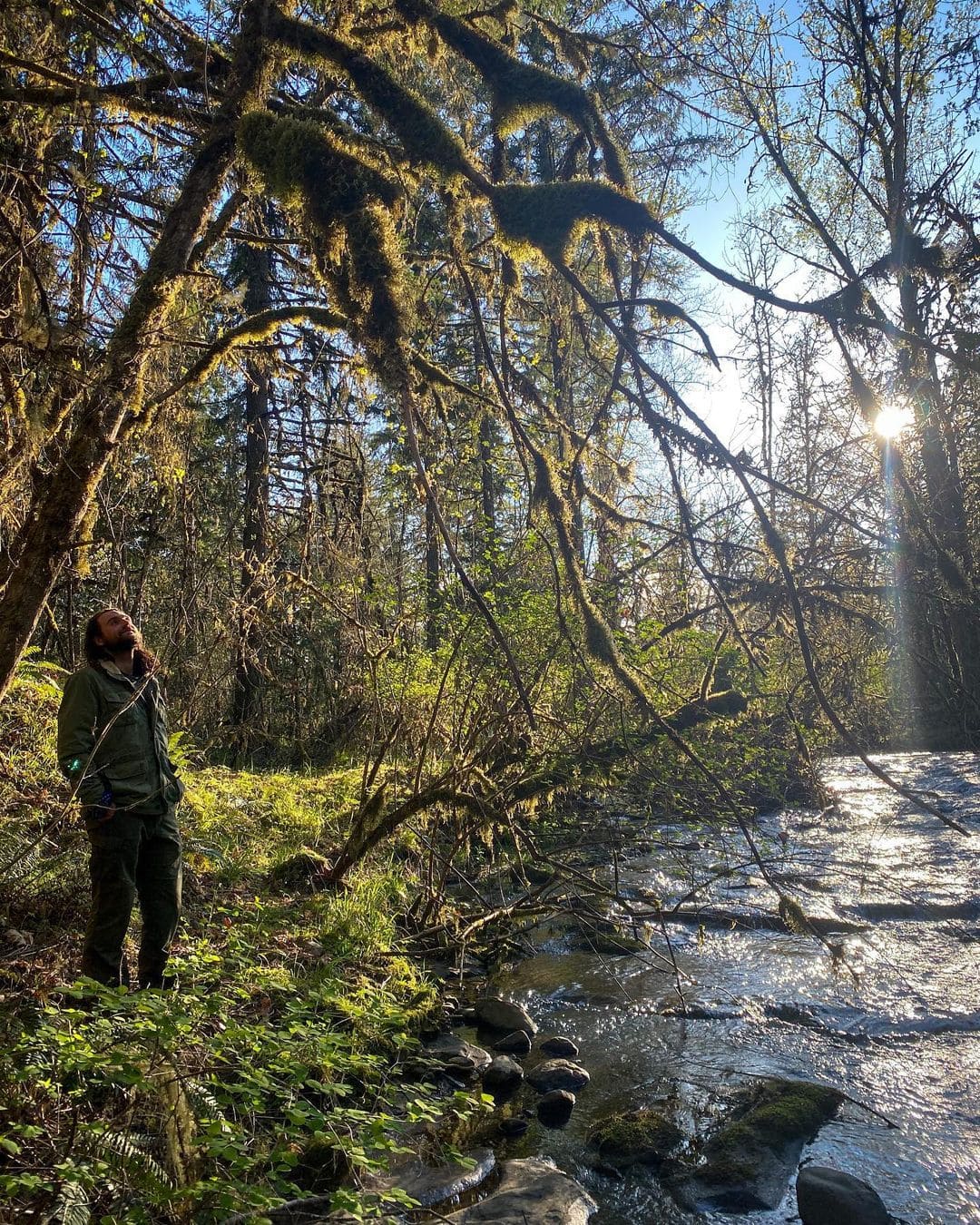 Person in a lush forest by a river with sunlit branches.