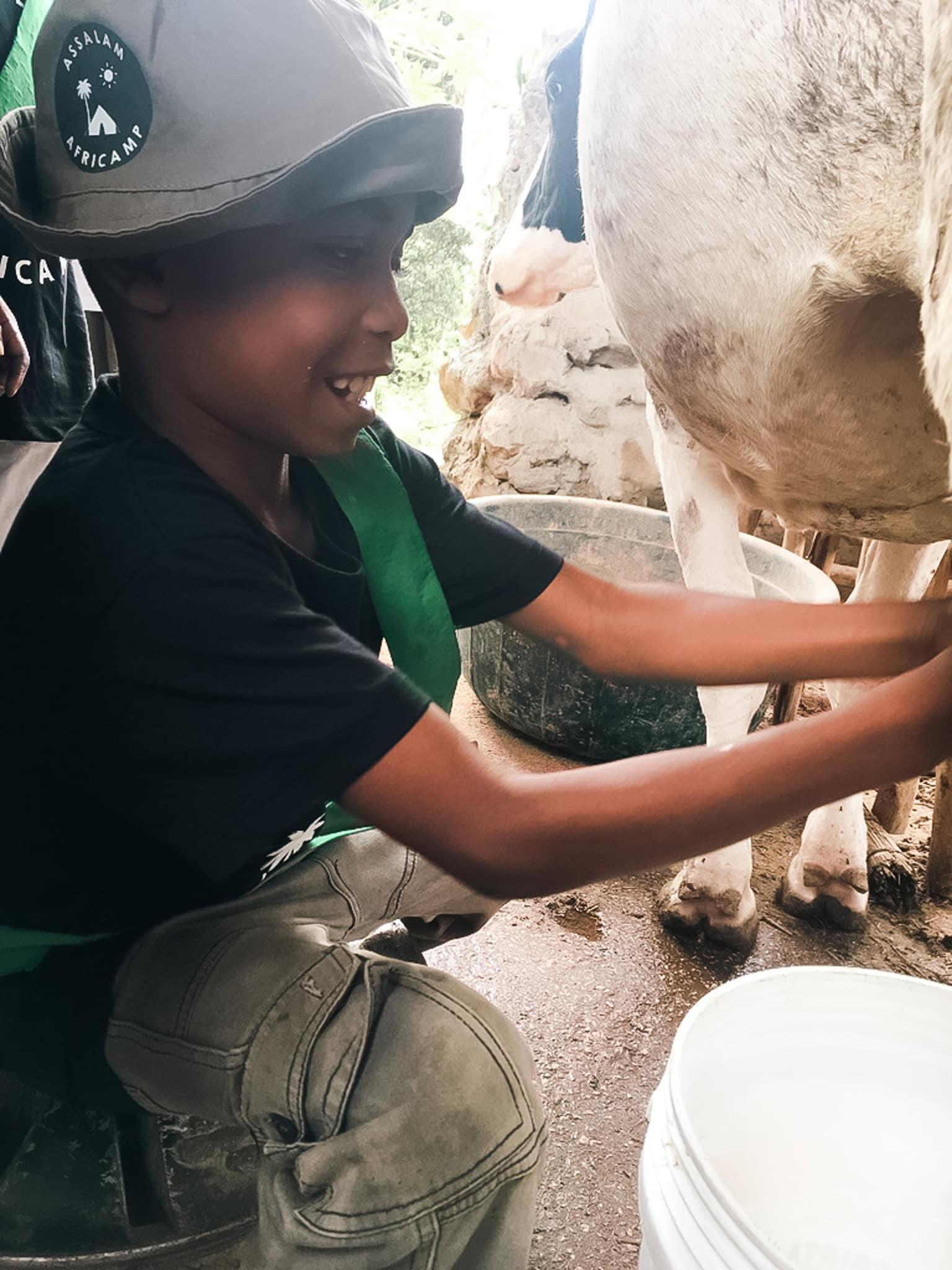Young child milking a cow at an eco-village farm in Zanzibar.