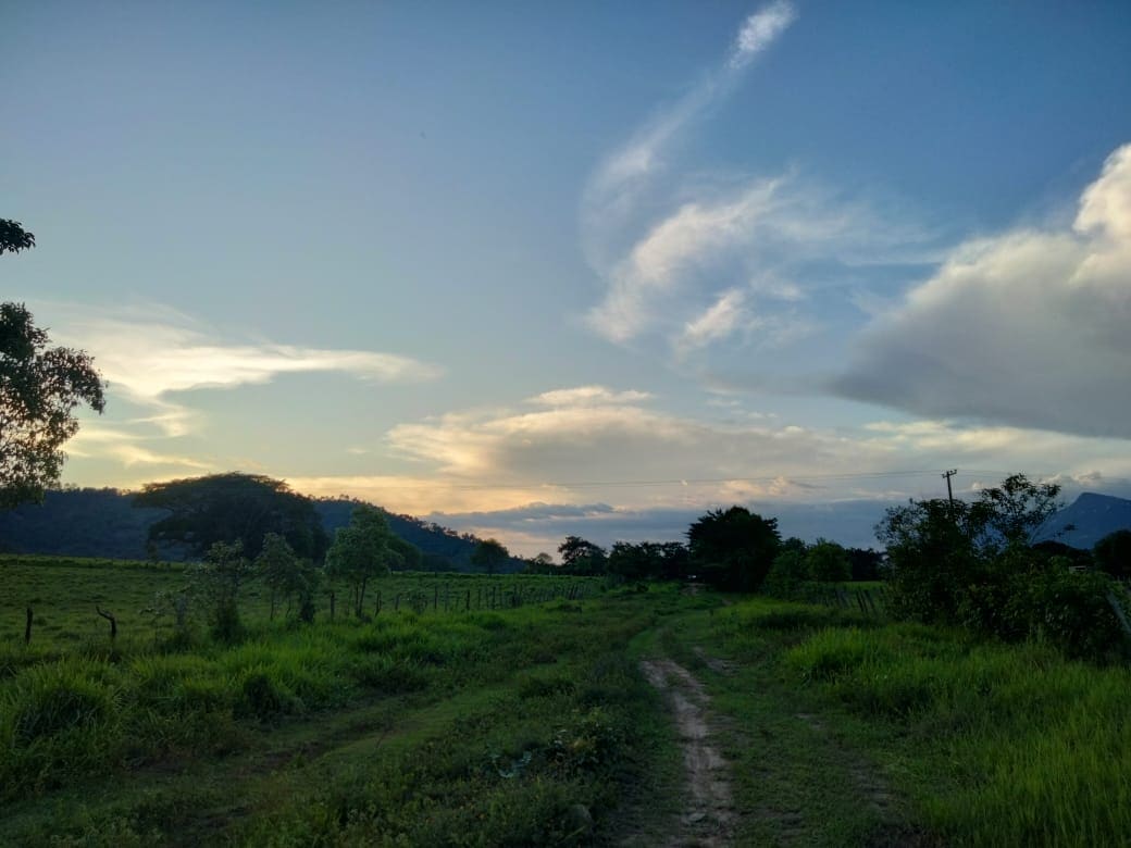 Scenic green fields and dirt track at dusk.