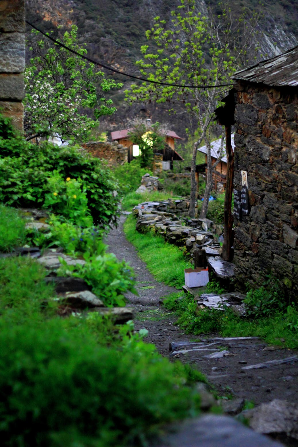 Pathway through stone cottages in a lush green ecovillage setting.