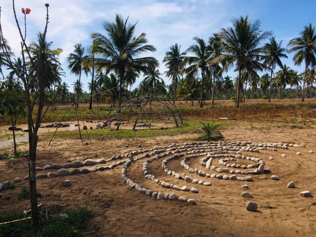 Circular stone spiral garden in a palm tree landscape.