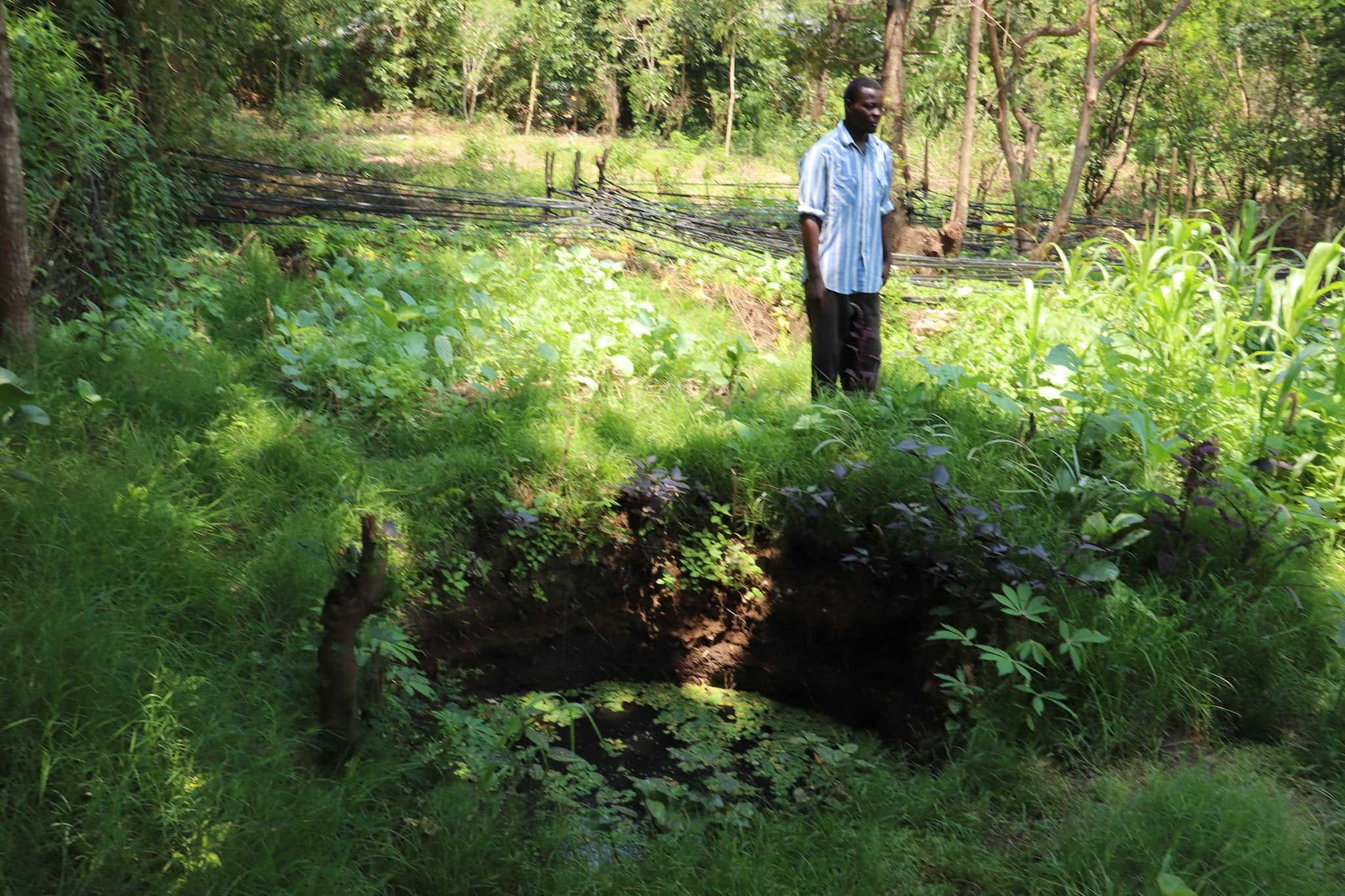 Man standing near a dug well in a lush eco-village garden.