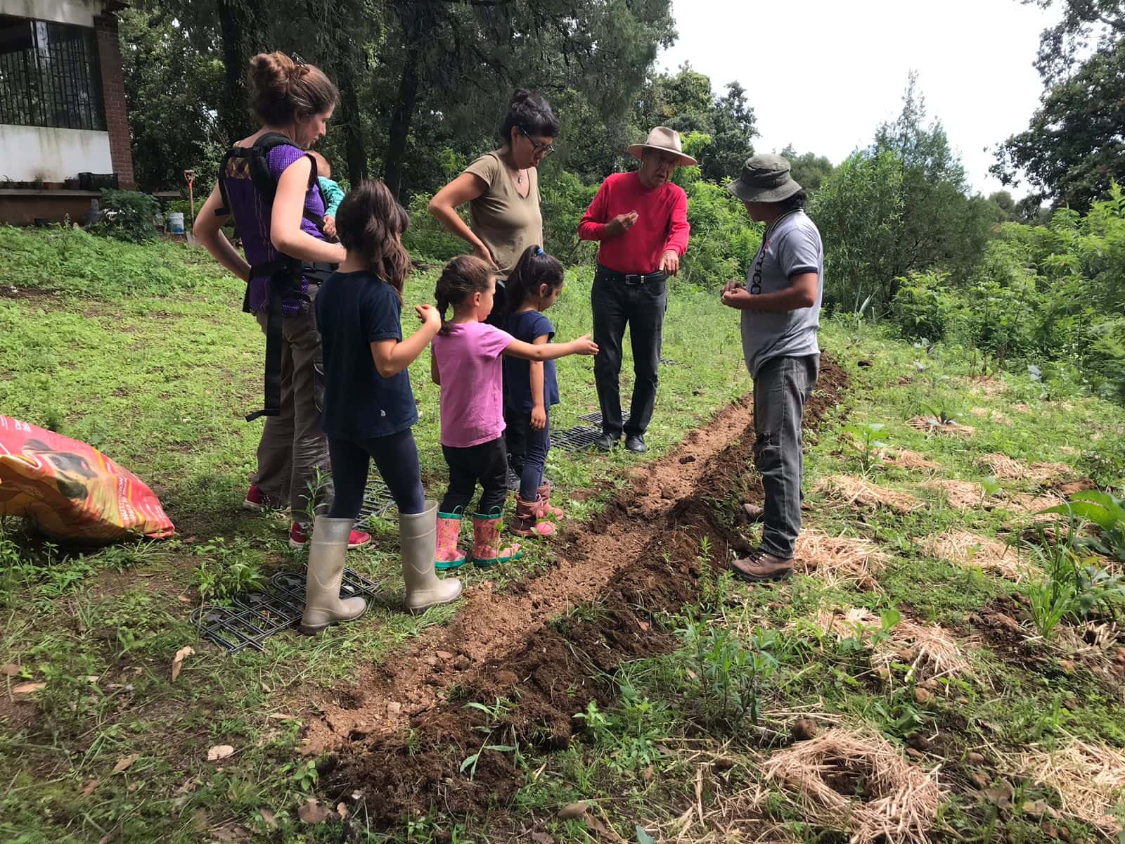 Group of volunteers planting saplings on a hillside with guides.