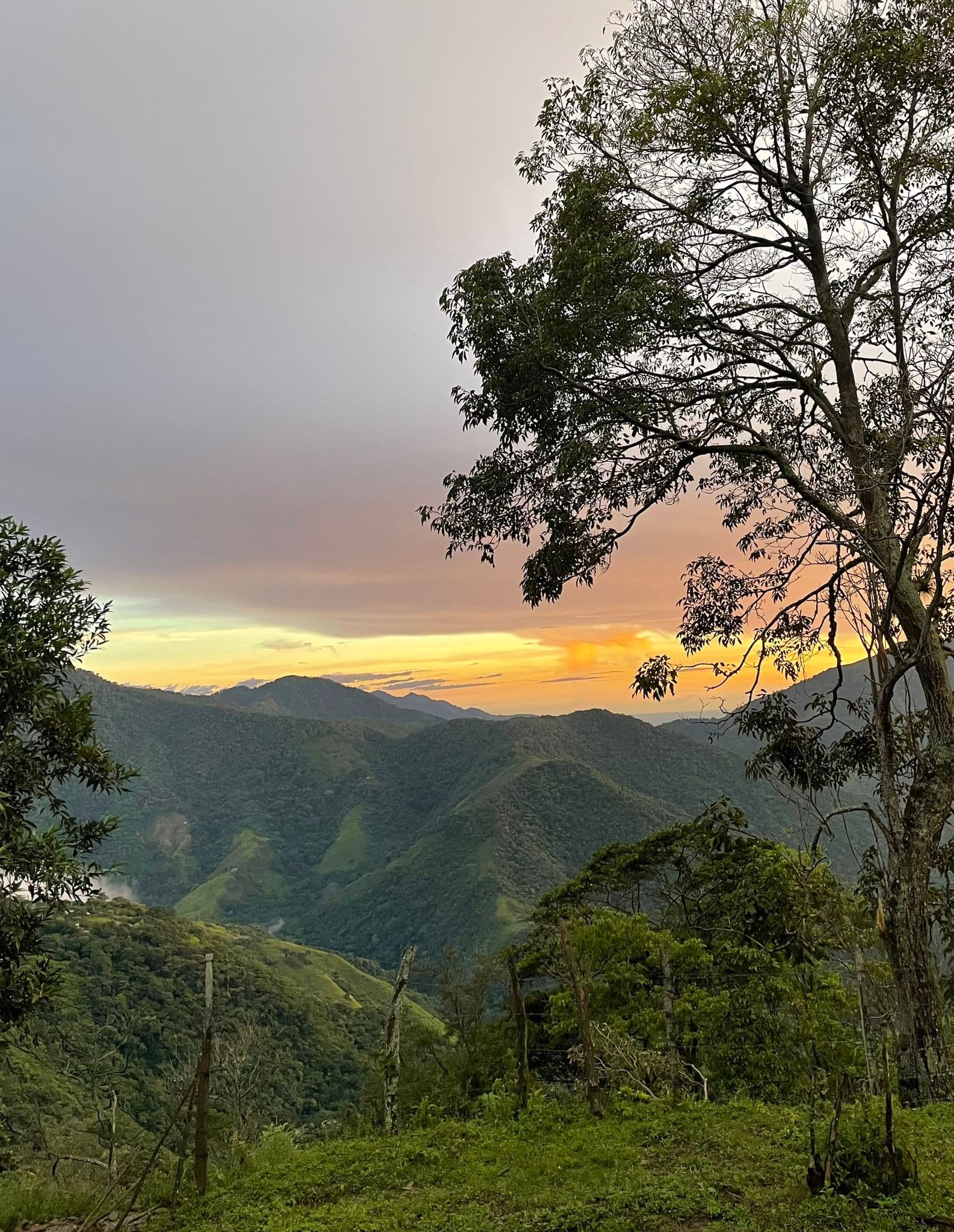 Sunset over lush green hills with trees in a tropical mountain landscape.