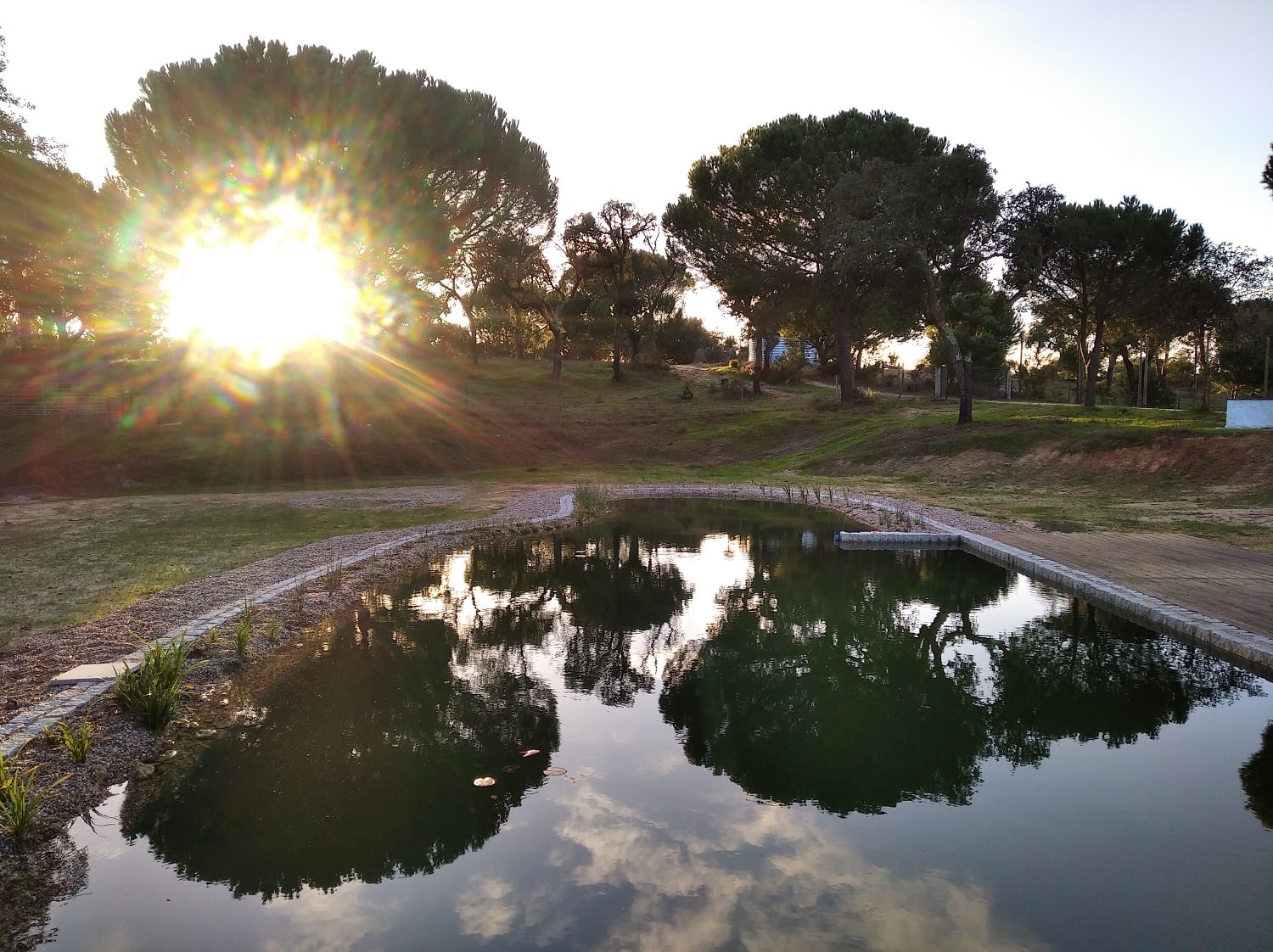 Sunset over a calm pool at an ecovillage park with trees.