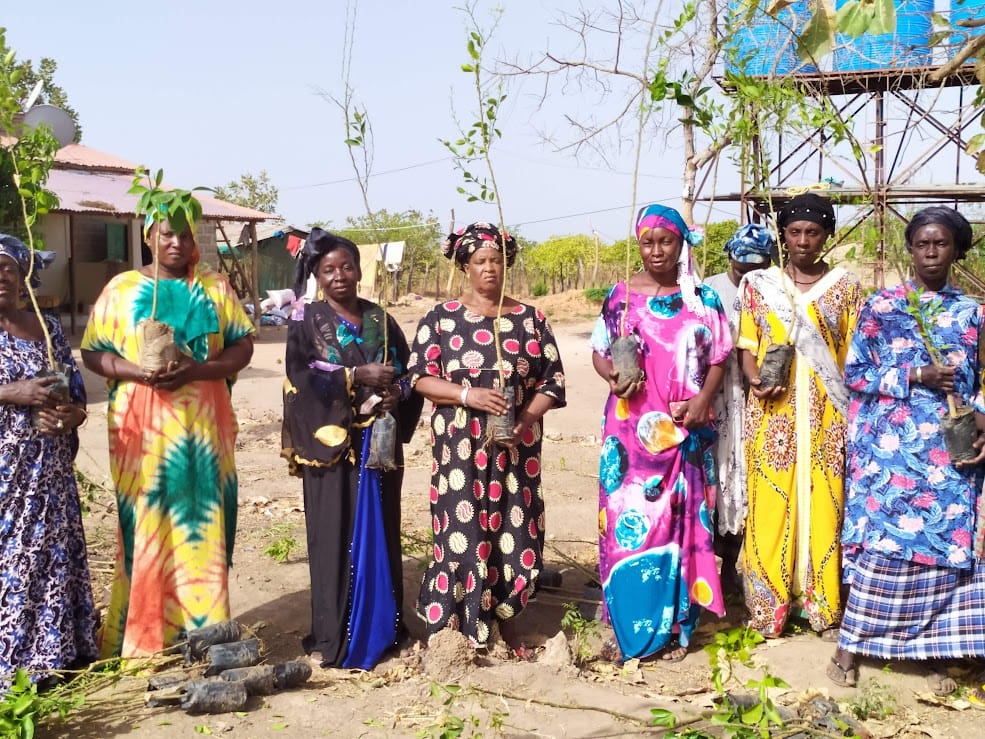 Group of women standing outdoors in colorful traditional dresses in a village setting.