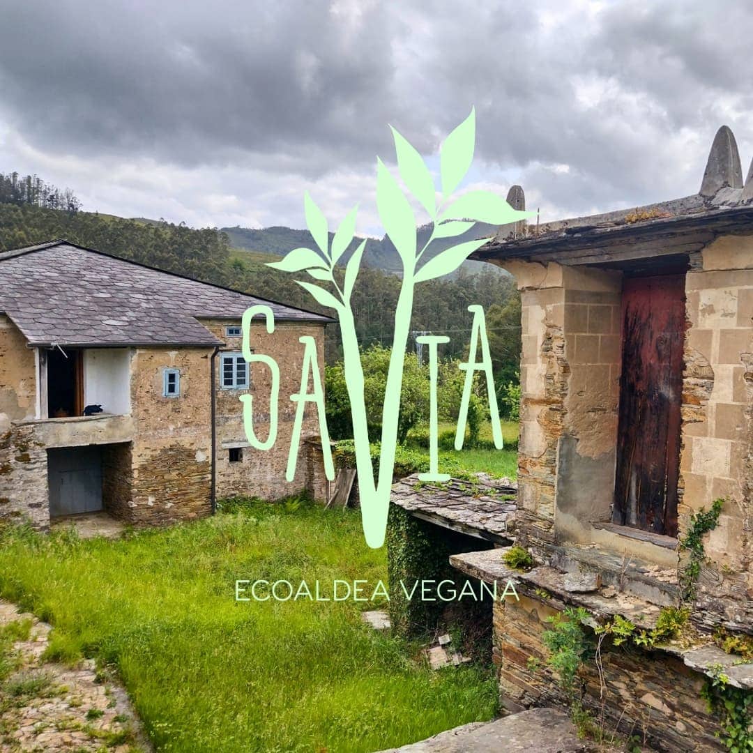 Global Ecovillage Network emblem with green plant motif on rustic buildings.