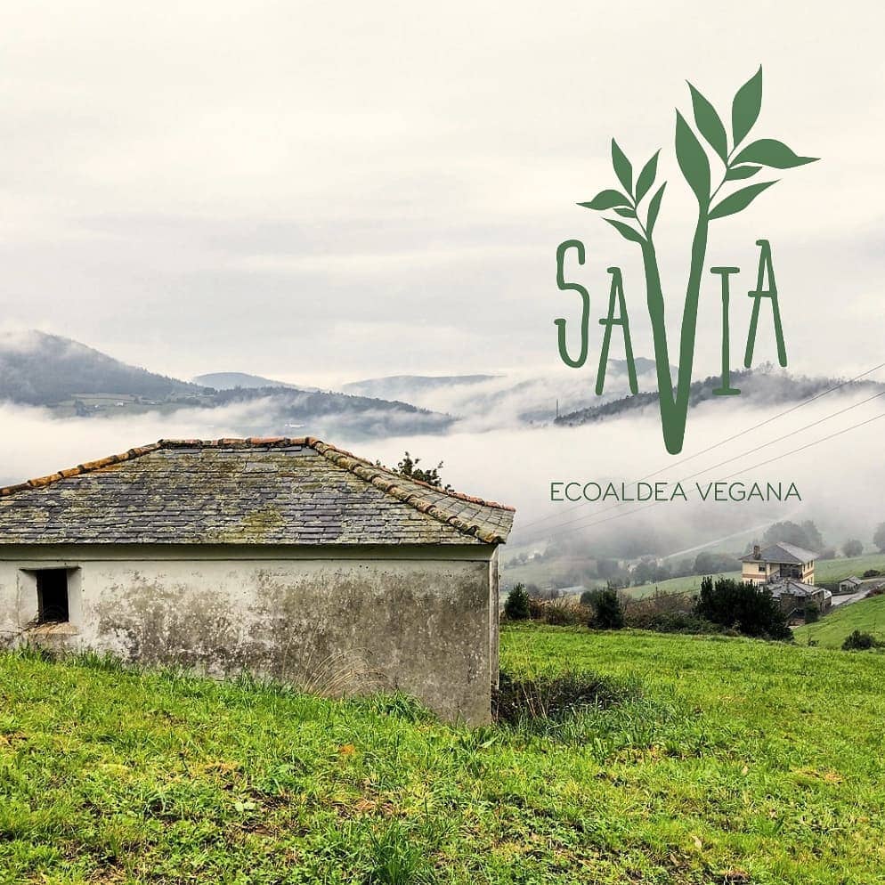 Global Ecovillage Network logo over rural hillside with mossy building.