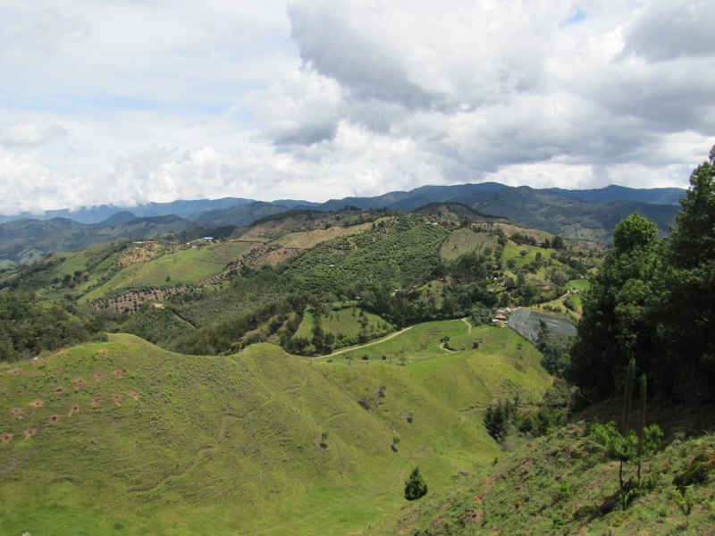 Hilly green valley landscape with scattered trees and cloudy sky.