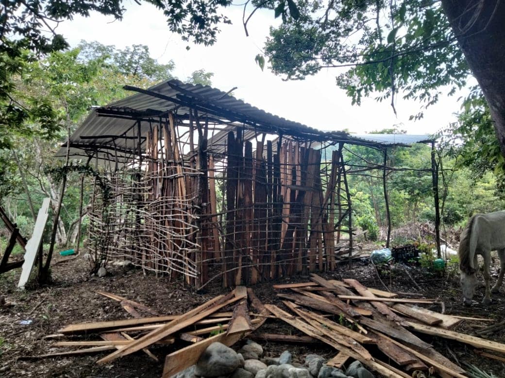 Wooden shelter with stacked planks and woven walls in a rural setting.