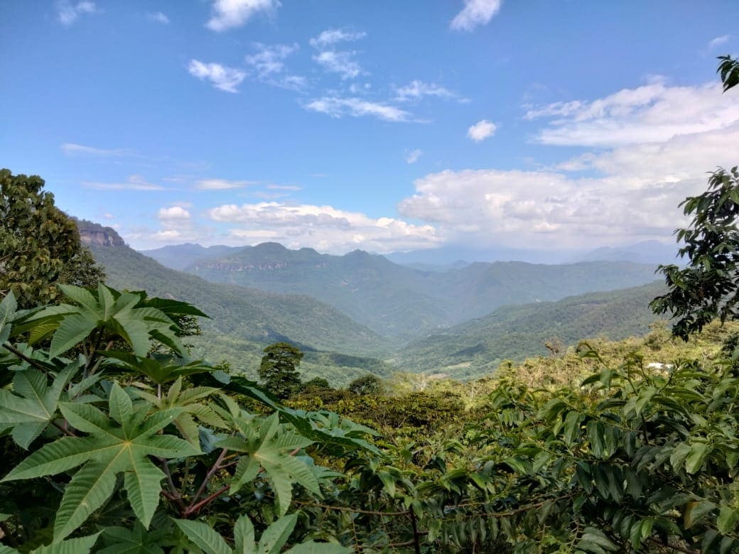 Scenic mountain valley seen from a lush green hillside with blue sky.