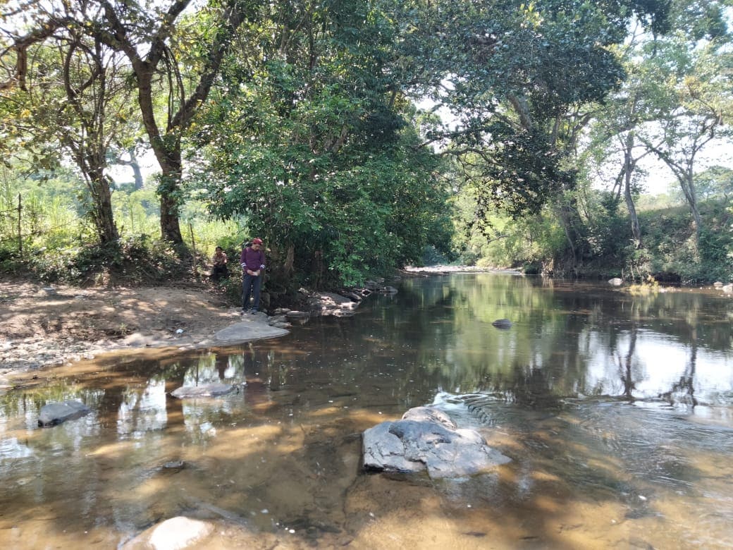 People by a shallow river surrounded by trees and rocks.