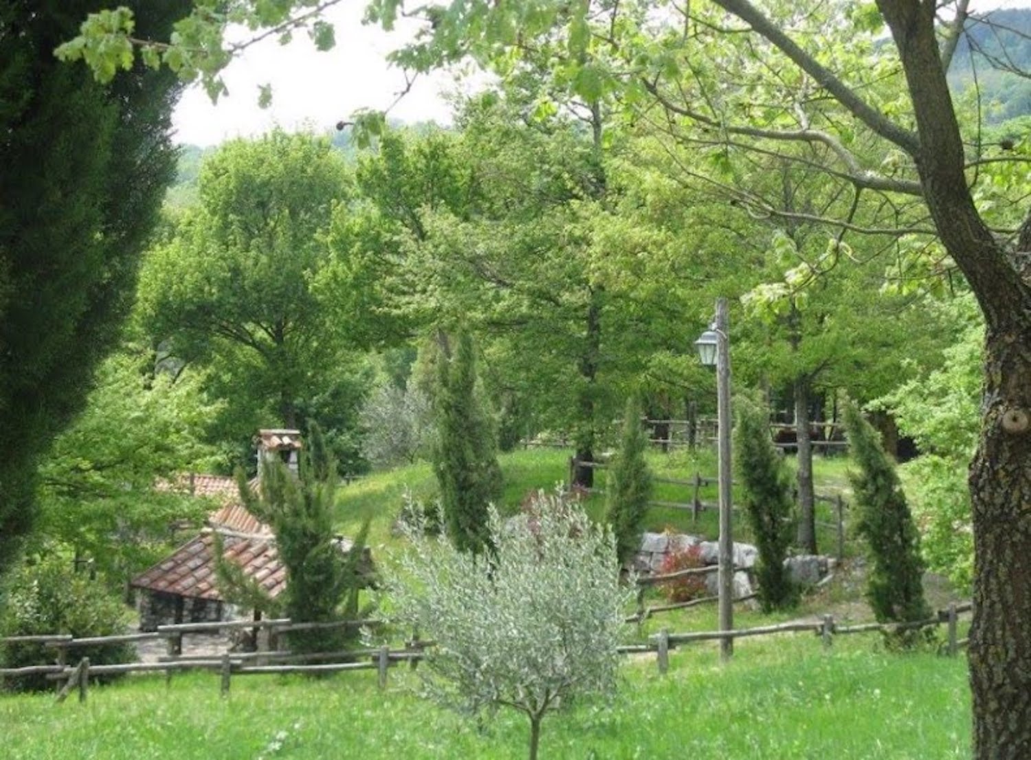 Lush green landscape with trees and a rustic fence.