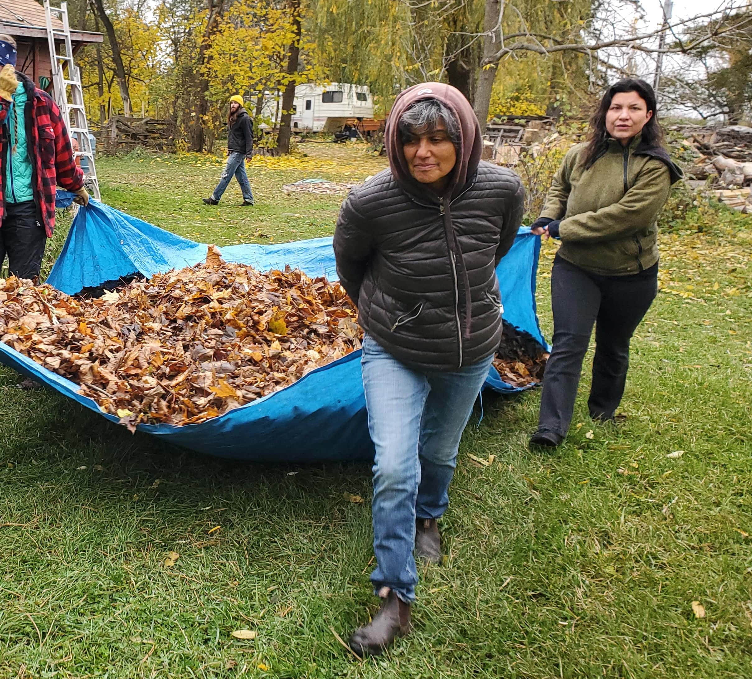 People in a village setting spreading and collecting autumn leaves.