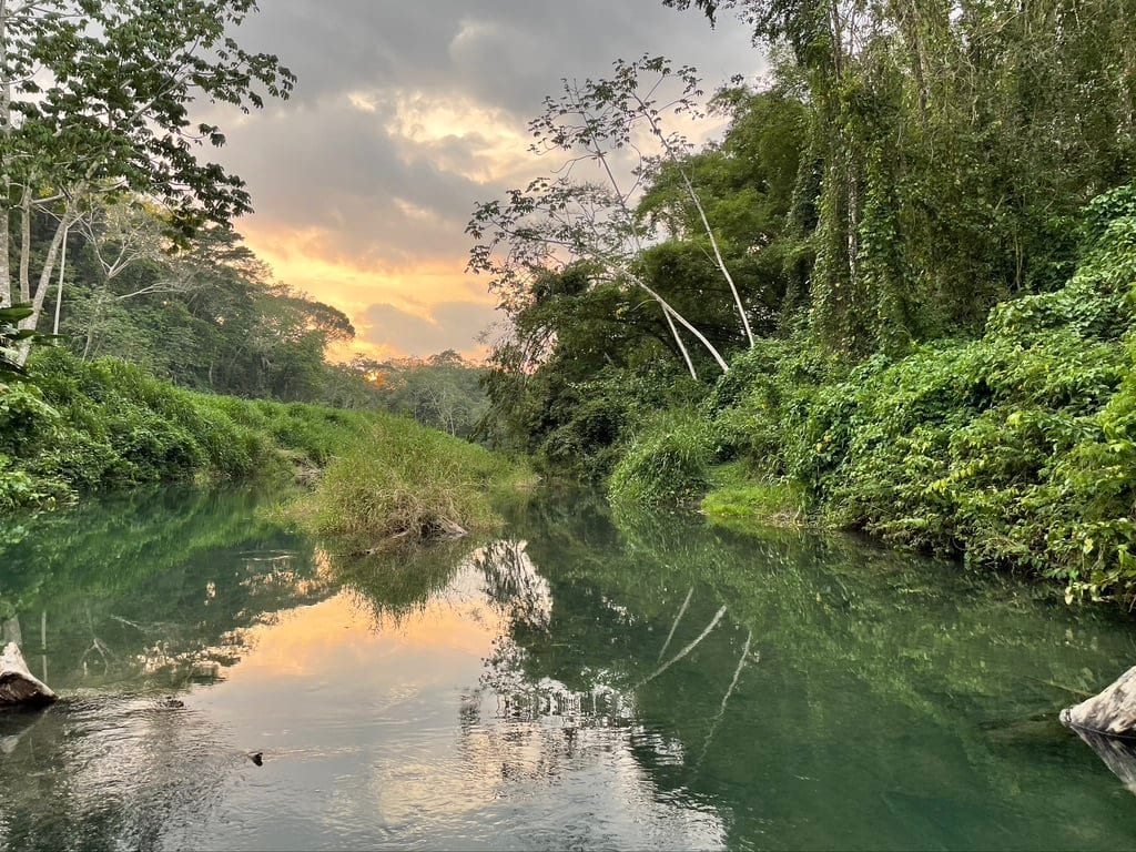 Ecovillage landscape river at sunset surrounded by lush green forest.