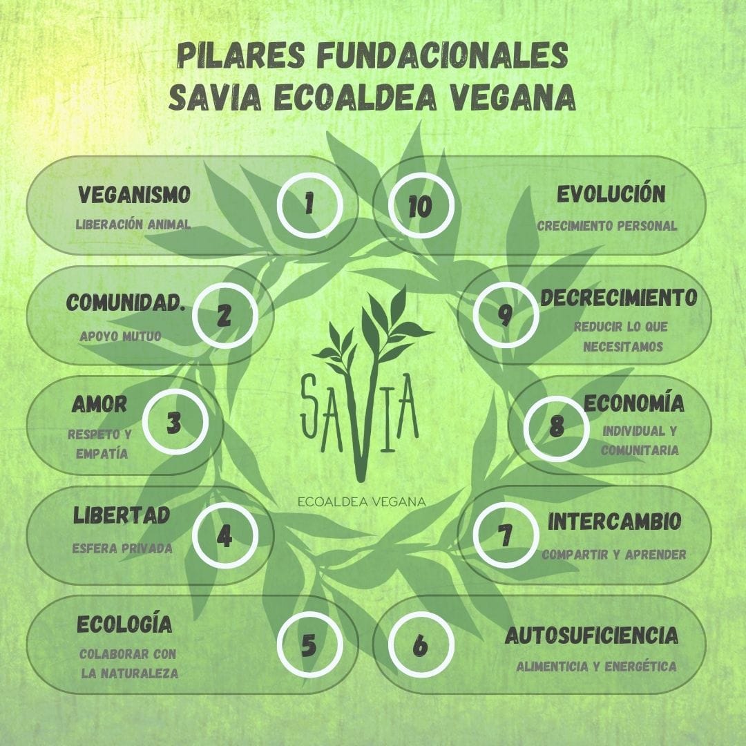 Global Ecovillage Network concept illustration for sustainability and community living.
