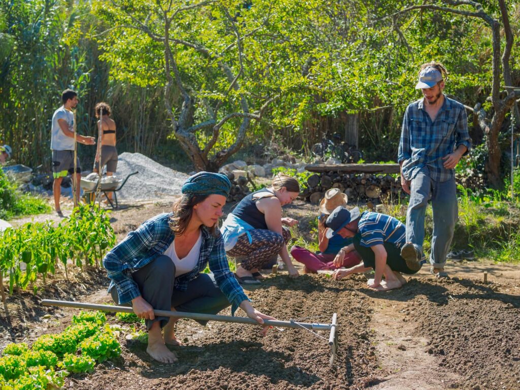 People gardening in a sunlit field at Terra Alta Permaculture Education Centre.