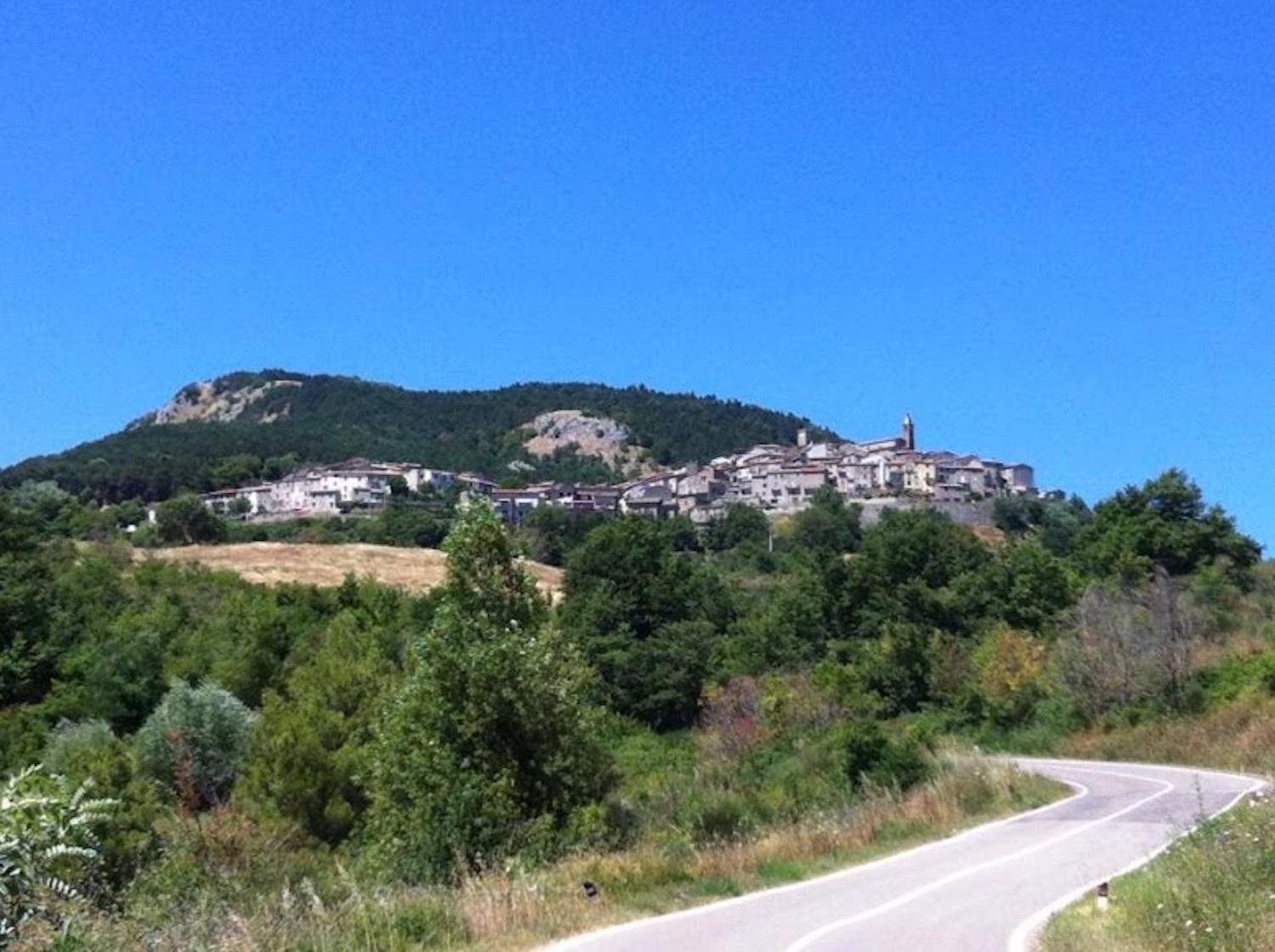 Global Ecovillage Network village landscape with hills and winding road.