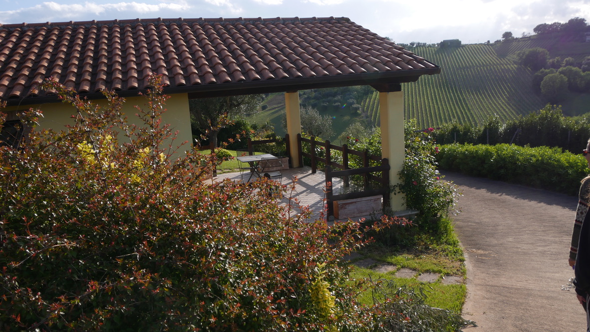 Terrace at Liminal Village with garden and hillside vineyard.