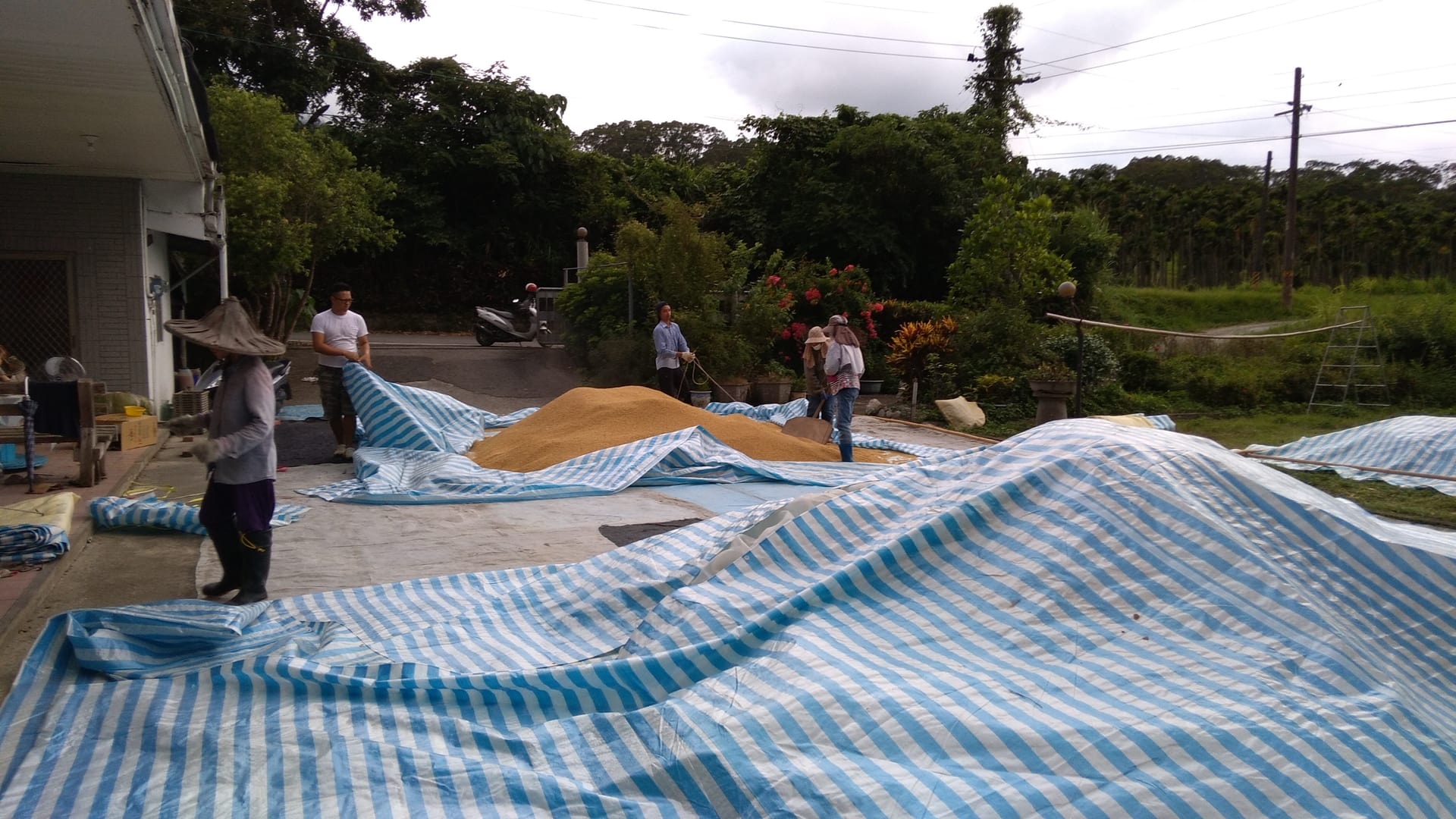 People handling blue and white striped tarps outdoors at Eco village site.
