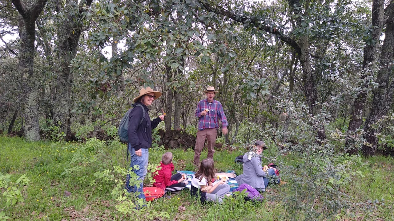 Group of people seated on the grass in an orchard learning together.