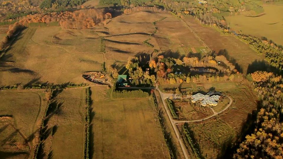 Aerial view of a rural ecovillage with fields, a central building and surrounding trees.